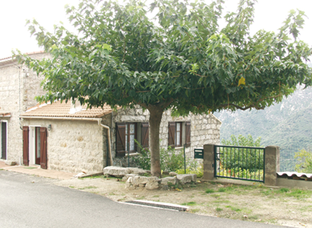 Alloggio n�14591