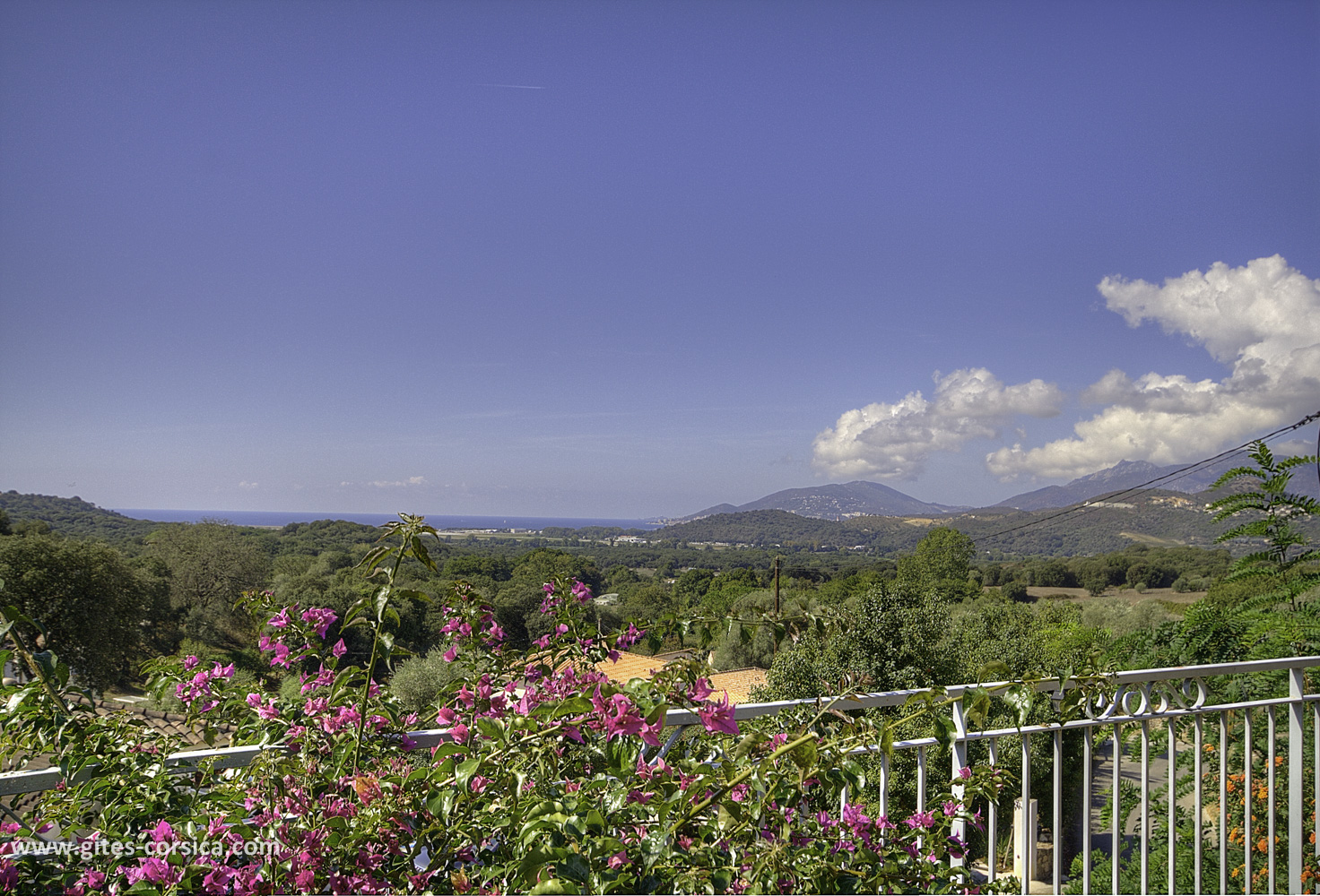 Alloggio n�15261