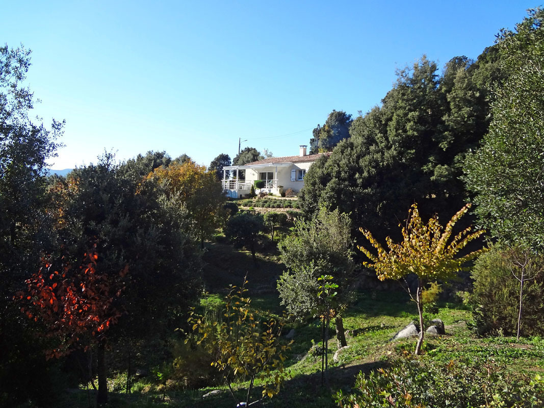 Alloggio n�18401