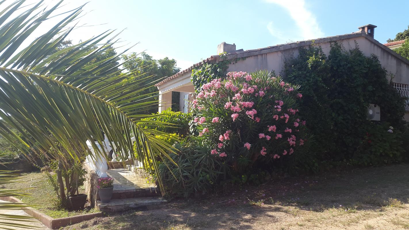 Alloggio n�19541