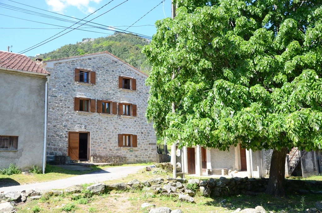Alloggio n�57341