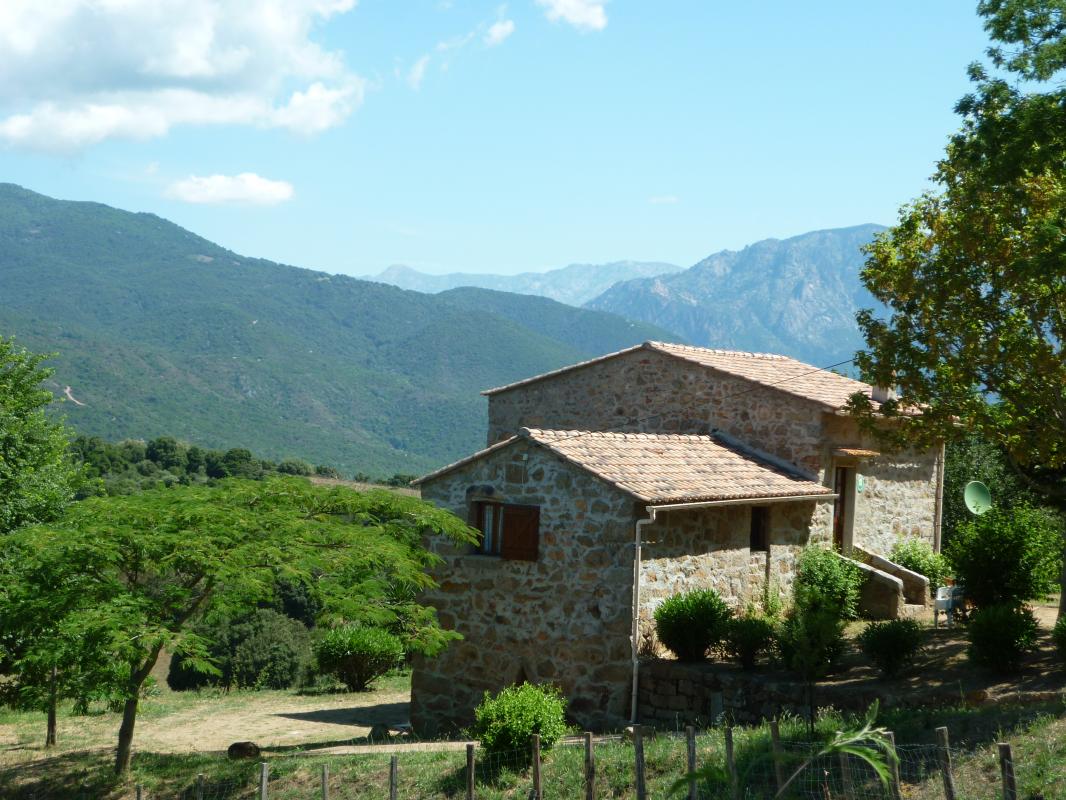 G�te rural � Casaglione en Corse du Sud 14172 : ext�rieur
