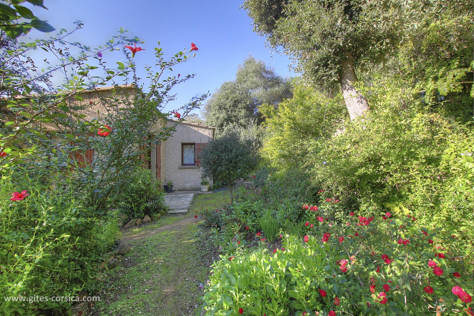 G�te rural � Olmeto en Corse: L'arriv�e au g�te et le champs qui lui fait face.