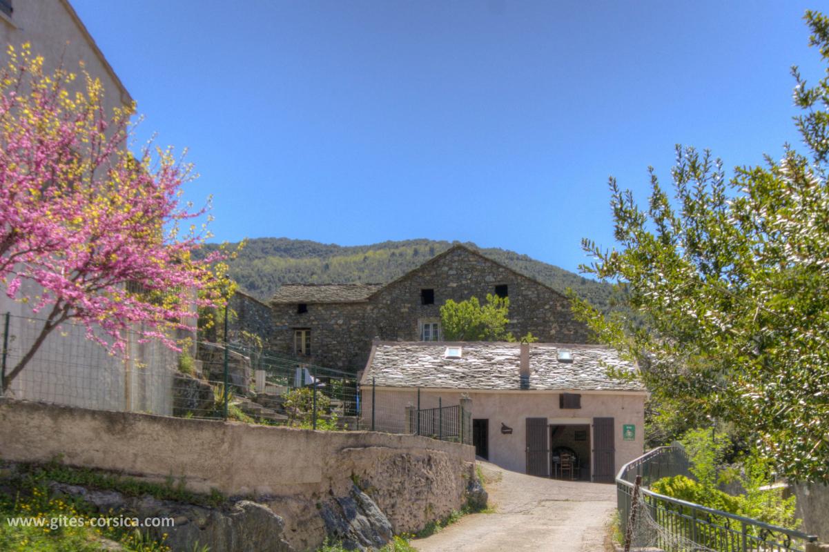 G�te rural � Bisinchi en Corse