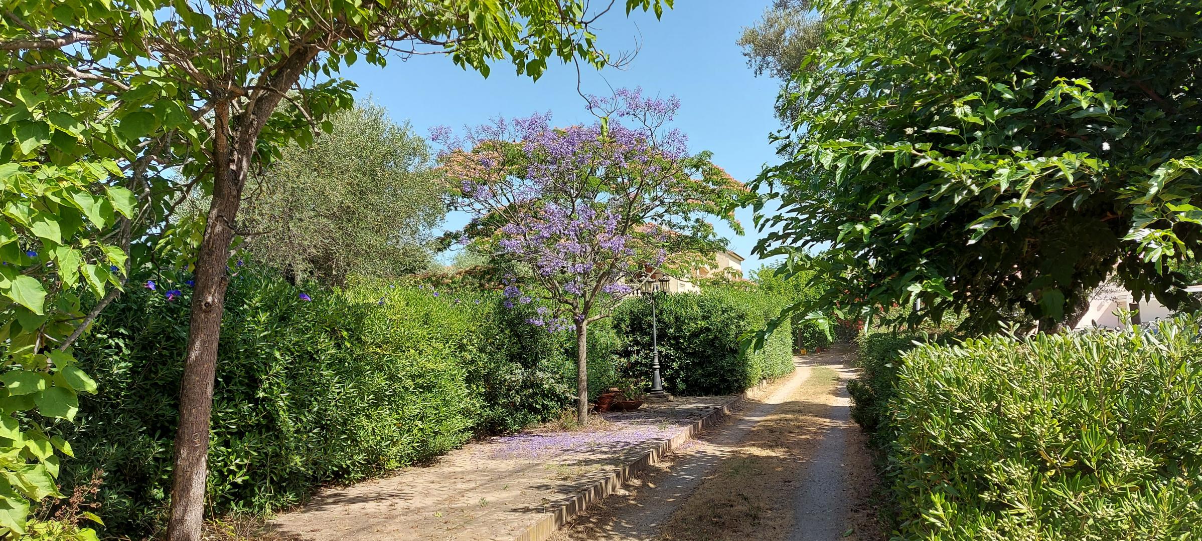 VUE PANORAMIQUE RAPPROCHEE