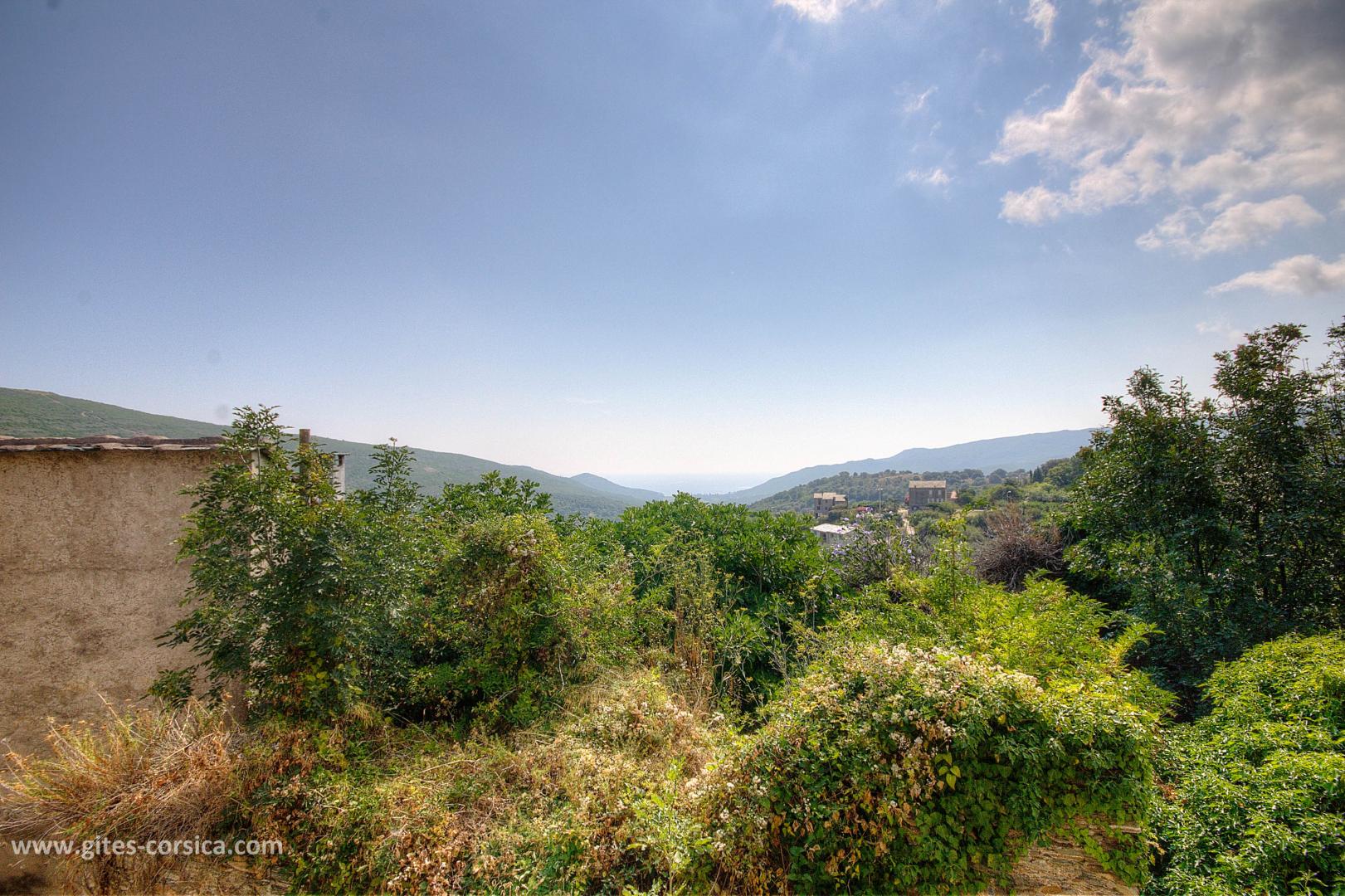G�te rural � Cagnano en Haute-Corse : s�jour