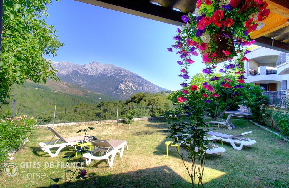 G�te rural � Muracciole en Haute-Corse : s�jour