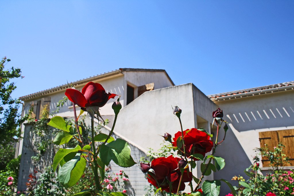 G�te rural � Oletta en Haute Corse