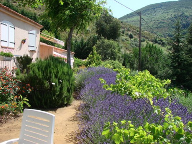 Jardin devant le g�te