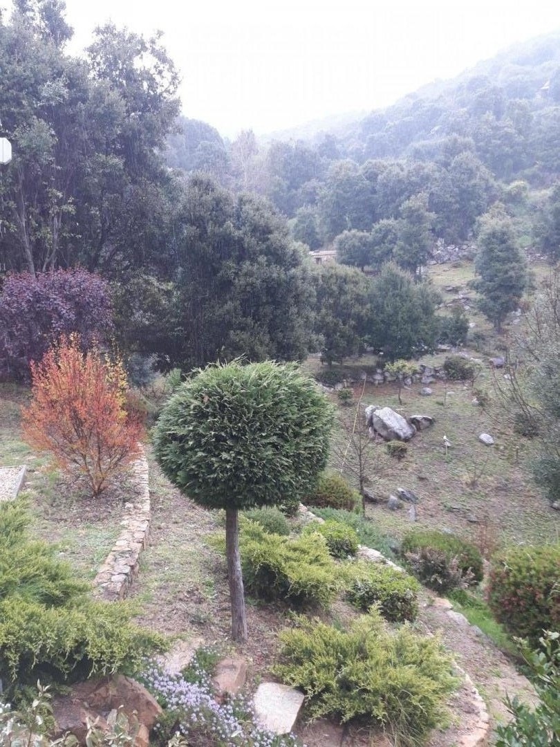 G�te rural � Ocana en Corse