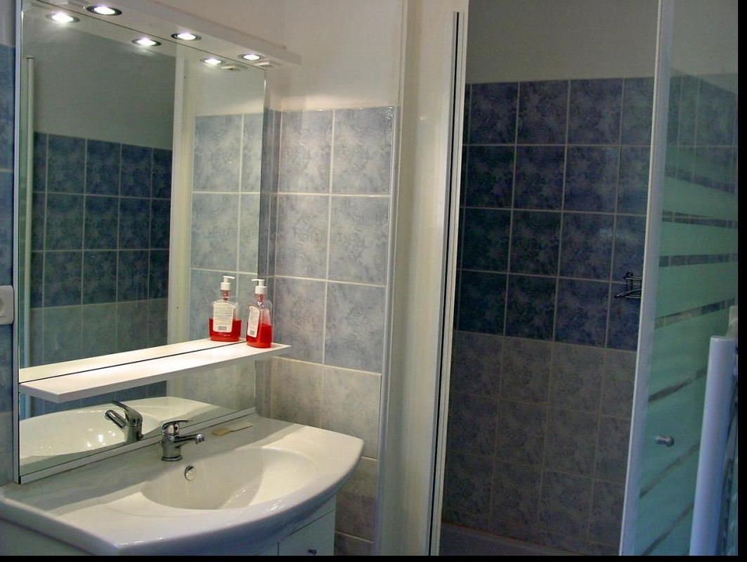 La salle de bain dispose de tout les conforts (porte- serviette chauffant, s�che-cheveux...) 