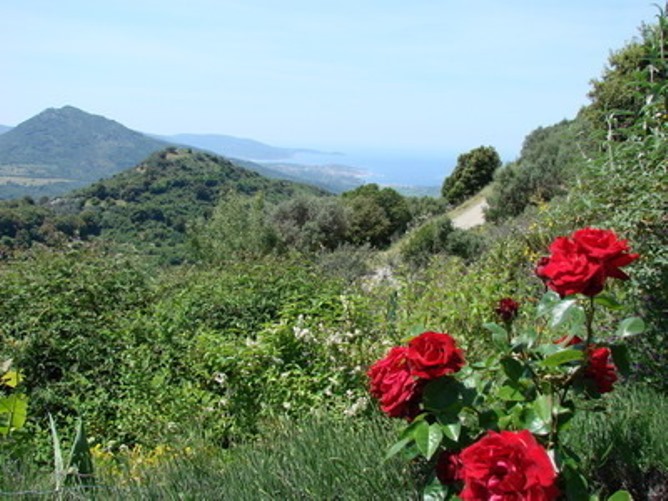 Vue de l'aire de repos commune