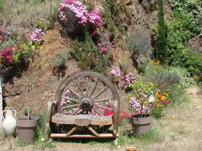 Banc et fleurs � l'aire de repos commune
