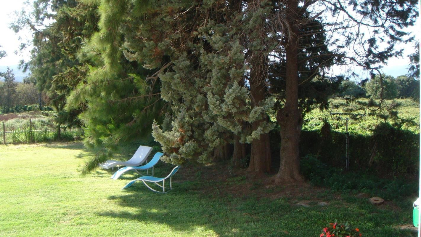 G�te rural 56123 � Querciolo en Haute Corse : le parc