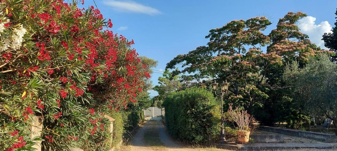 VUE EXTERIEURE AVEC SON JARDIN D'AGREMENT