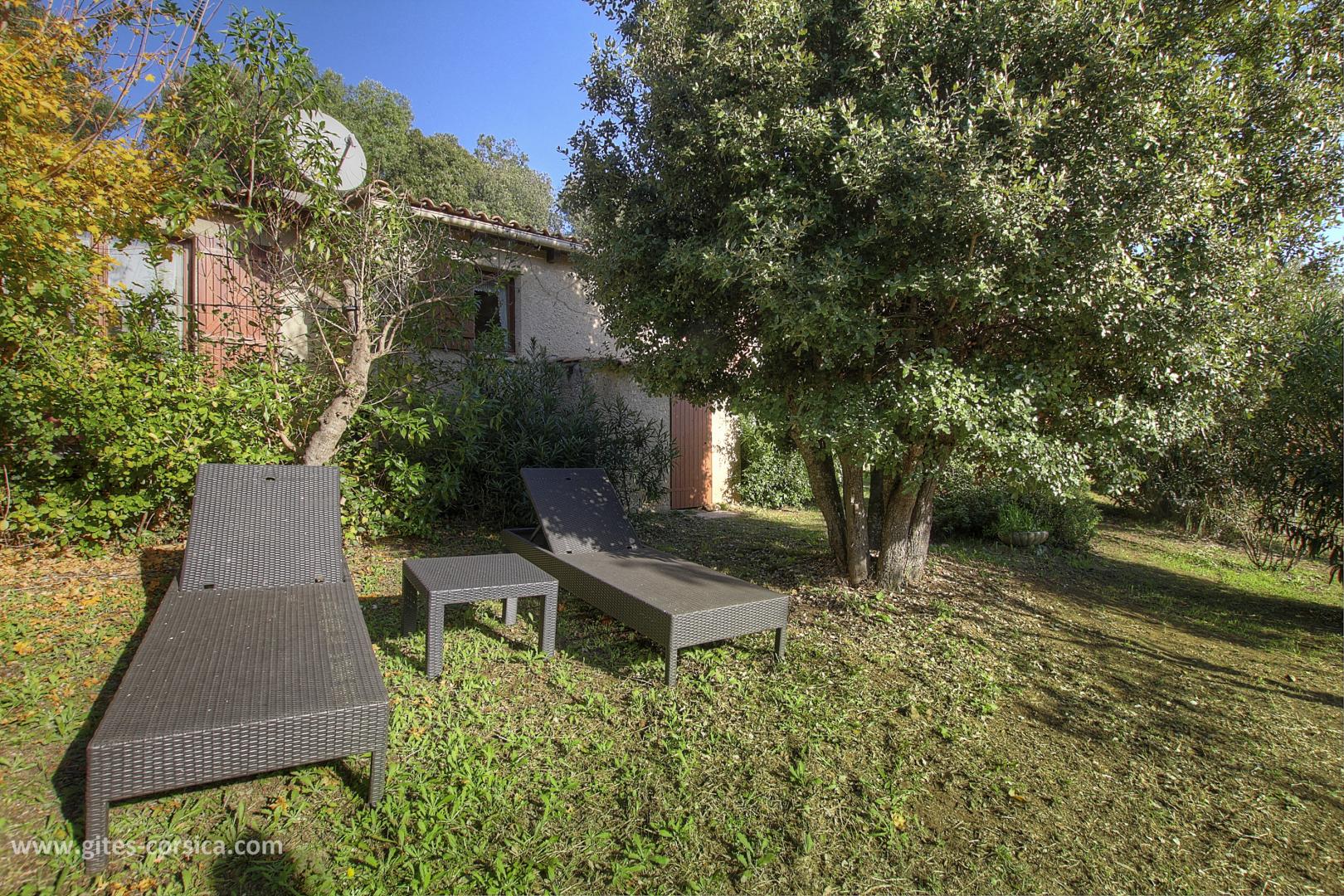 G�te rural � Olmeto en Corse: la terrasse ombrag�e