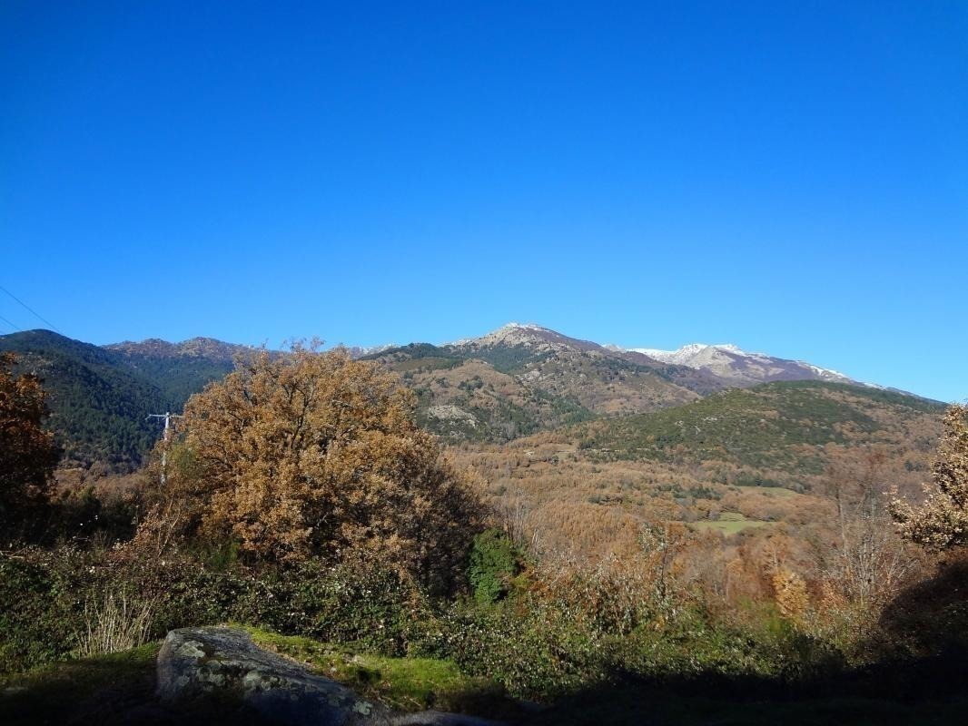 G�te � Cozzano en Corse : studio