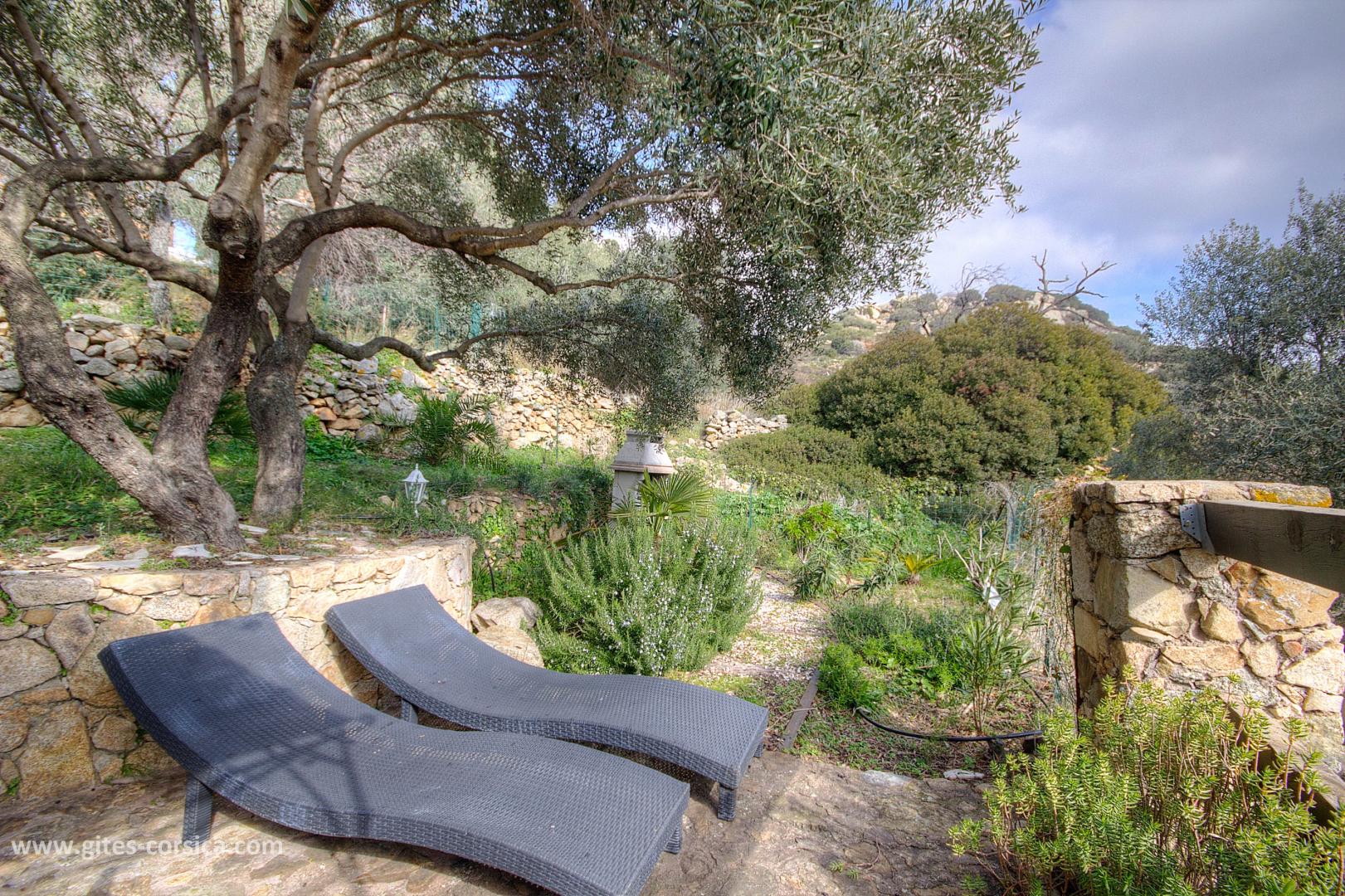 G�te rural � Cateri en Corse