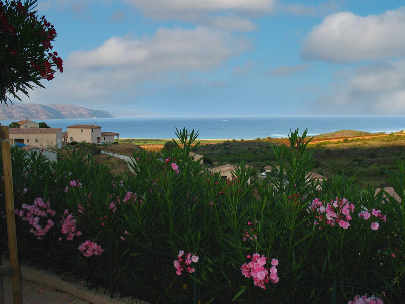 G�te rural � Sagone en Corse-du-Sud : s�jour/cuisine