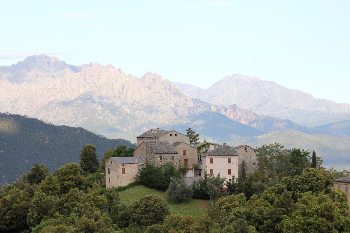 G�te rural � Gavignano en Haute-Corse : terrasse