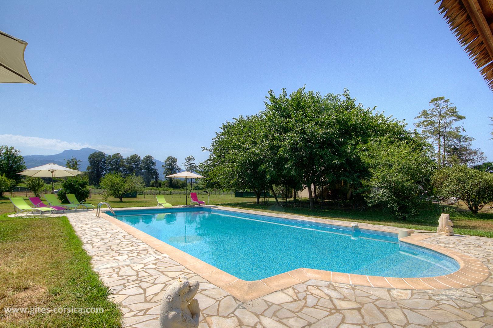 G�te rural 56123 � Querciolo en Haute Corse : la piscine