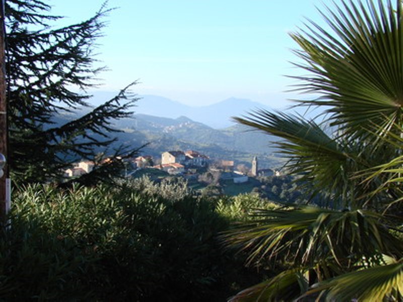 Vue sur le parc arbor� et le village de Santa -Maria Figaniella