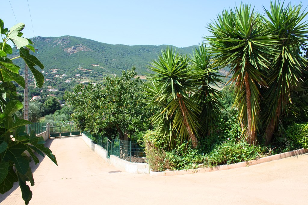 g�te rural � APPIETTO en CORSE DU SUD : wc ind�pendant