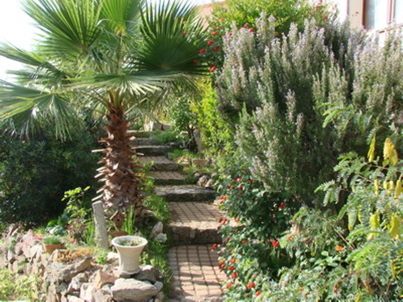 Jardin fleurie et arbor� � l'entr�e du g�te