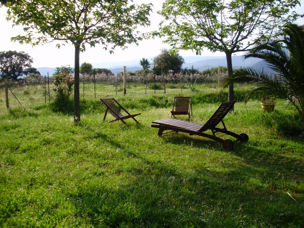 G�te rural � Sollacaro en Corse du Sud : s�jour