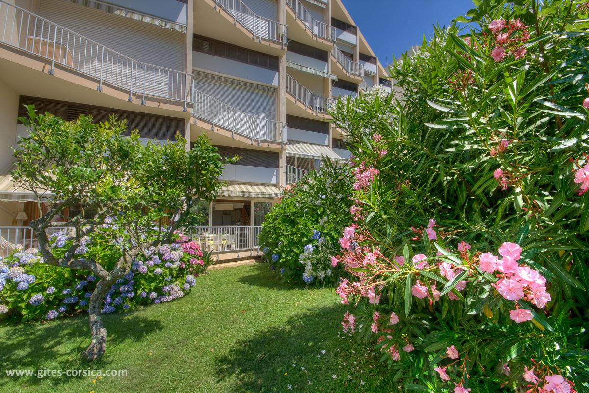 Appartement � Porticcio en Corse : la plage � 100m, accessible par un sentier.