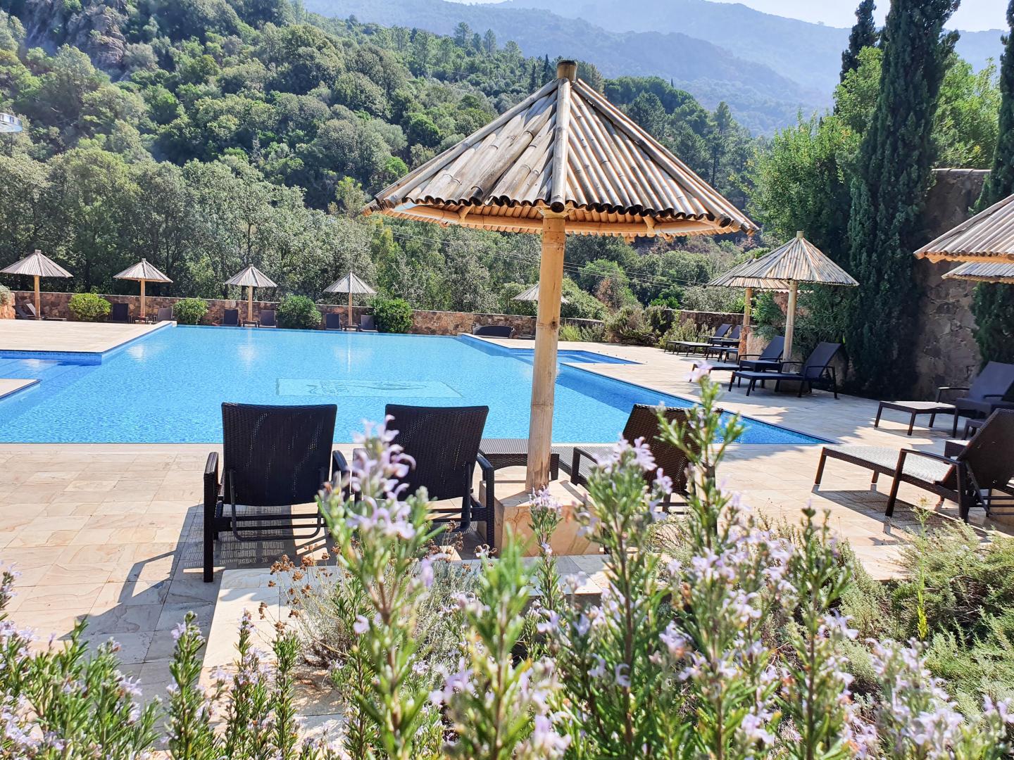 G�te � Serriera en Corse du Sud -20010 : terrasse