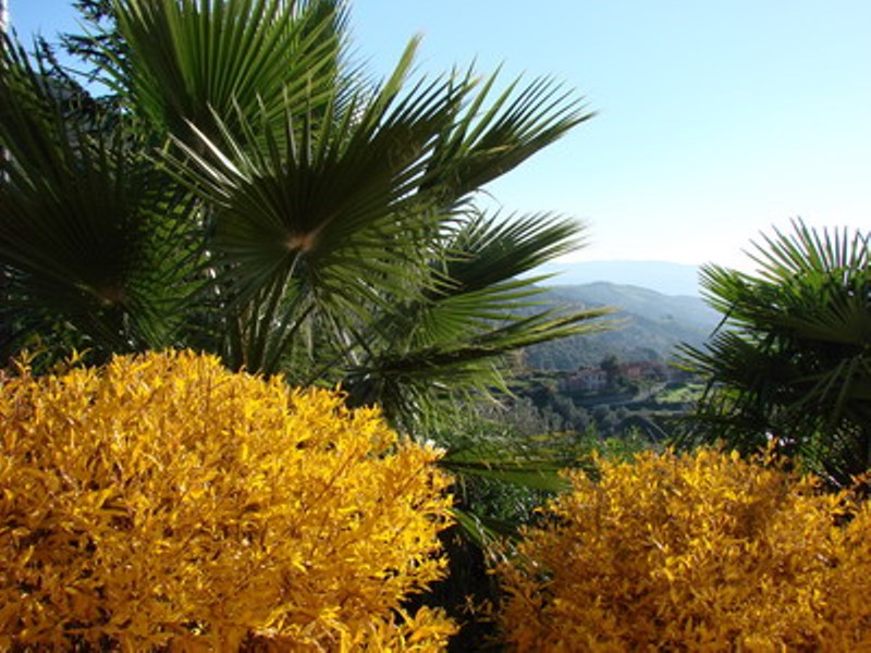 Vue du gite au couleur de l'automne